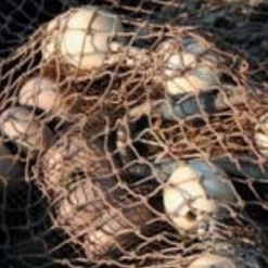 Donaghys Superfilm Netline Braid 6.5mm X 220m 150L -Deals Donaghys Store 2 57 86